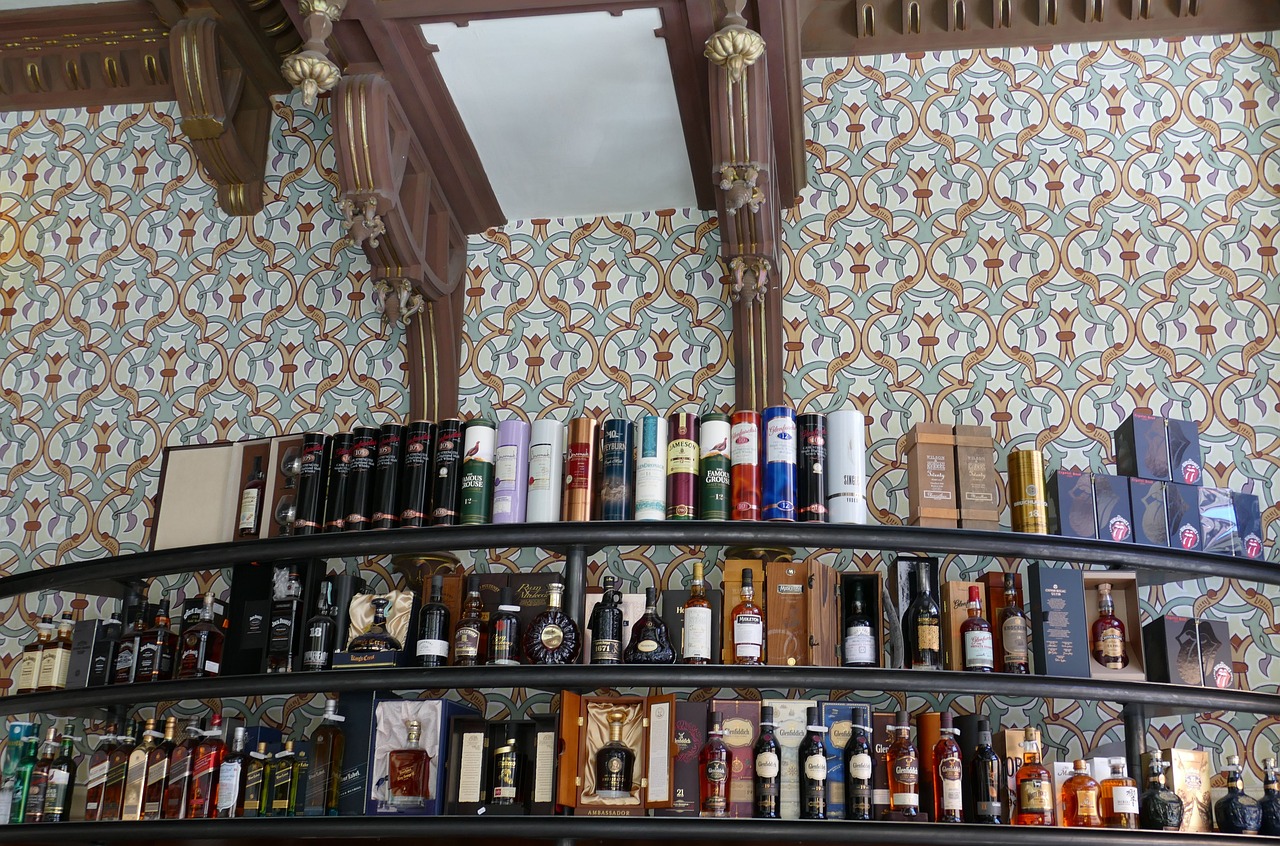 明星寵物店，城市中的璀璨寵物樂(lè)園