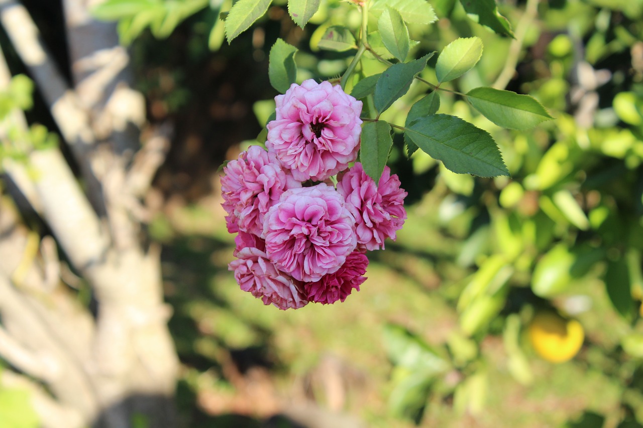 8月8日地震最新動態(tài)報告，實時更新與全面概述