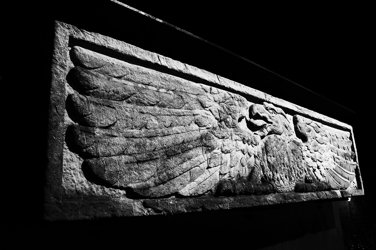 電影中的倫理問(wèn)題與道德探討，在線觀看A倫理電影引發(fā)深思