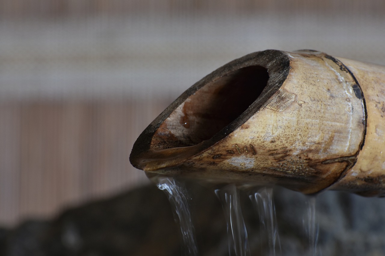 最新開學(xué)資訊概覽，開學(xué)動(dòng)態(tài)一網(wǎng)打盡