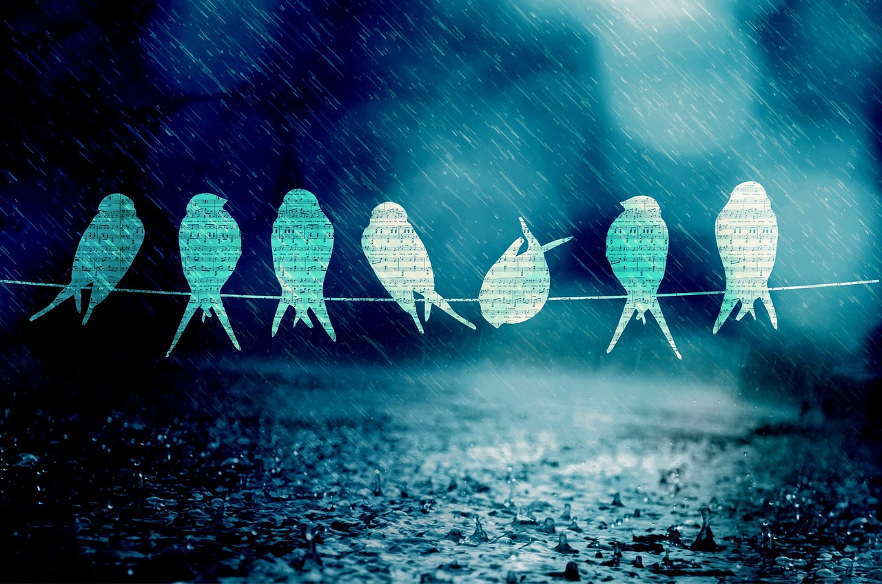 小五金恩圣音樂人生新篇章，最新動態(tài)揭秘