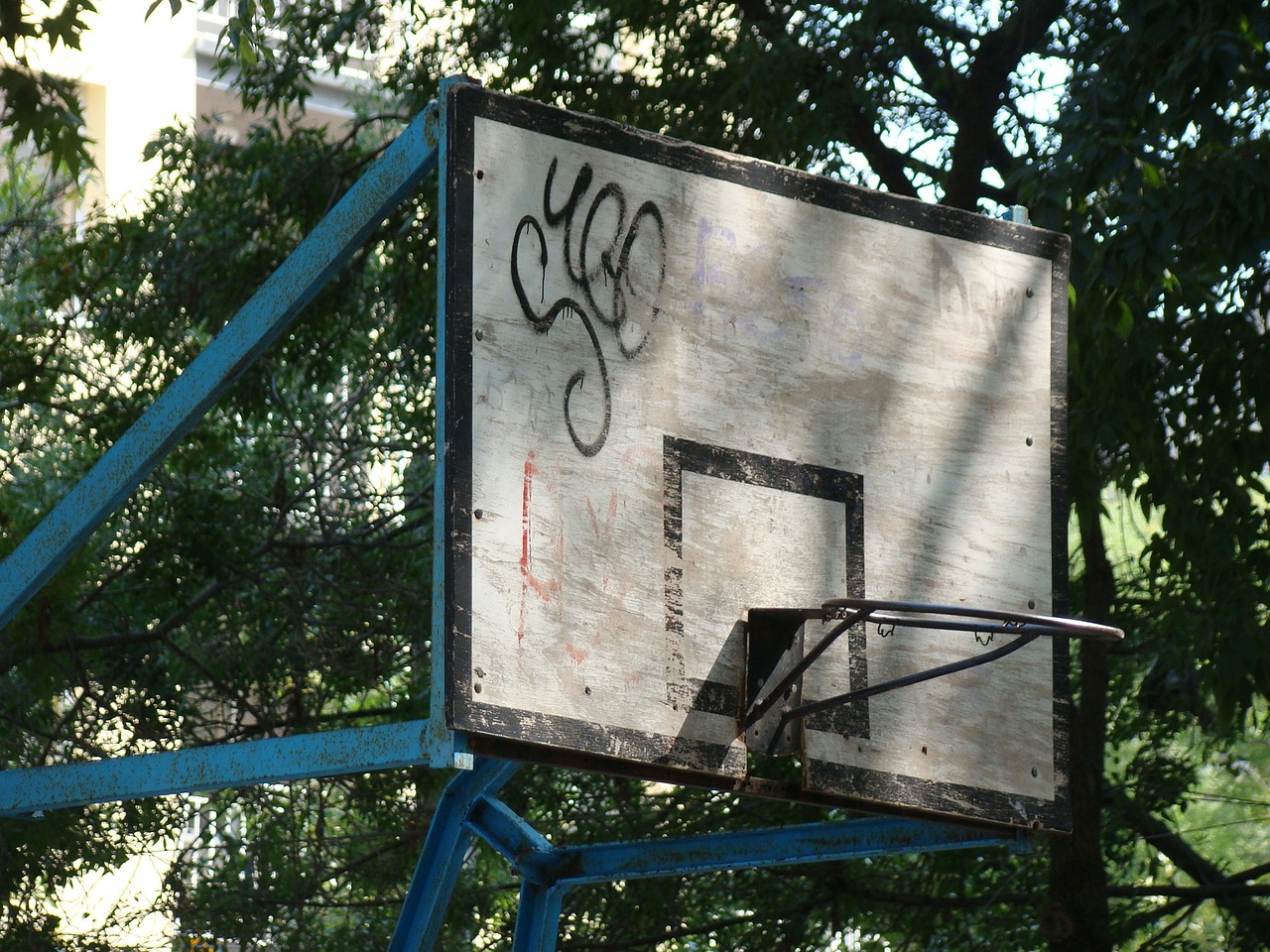 嘴炮康納·麥格雷戈的最新動(dòng)態(tài)概覽