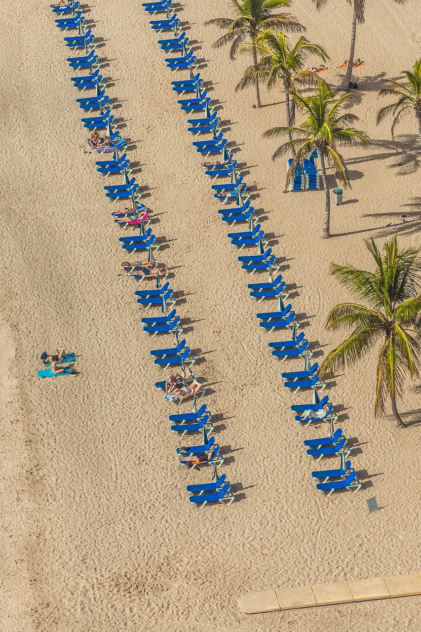 斗破蒼穹動漫下載，探索與體驗之旅