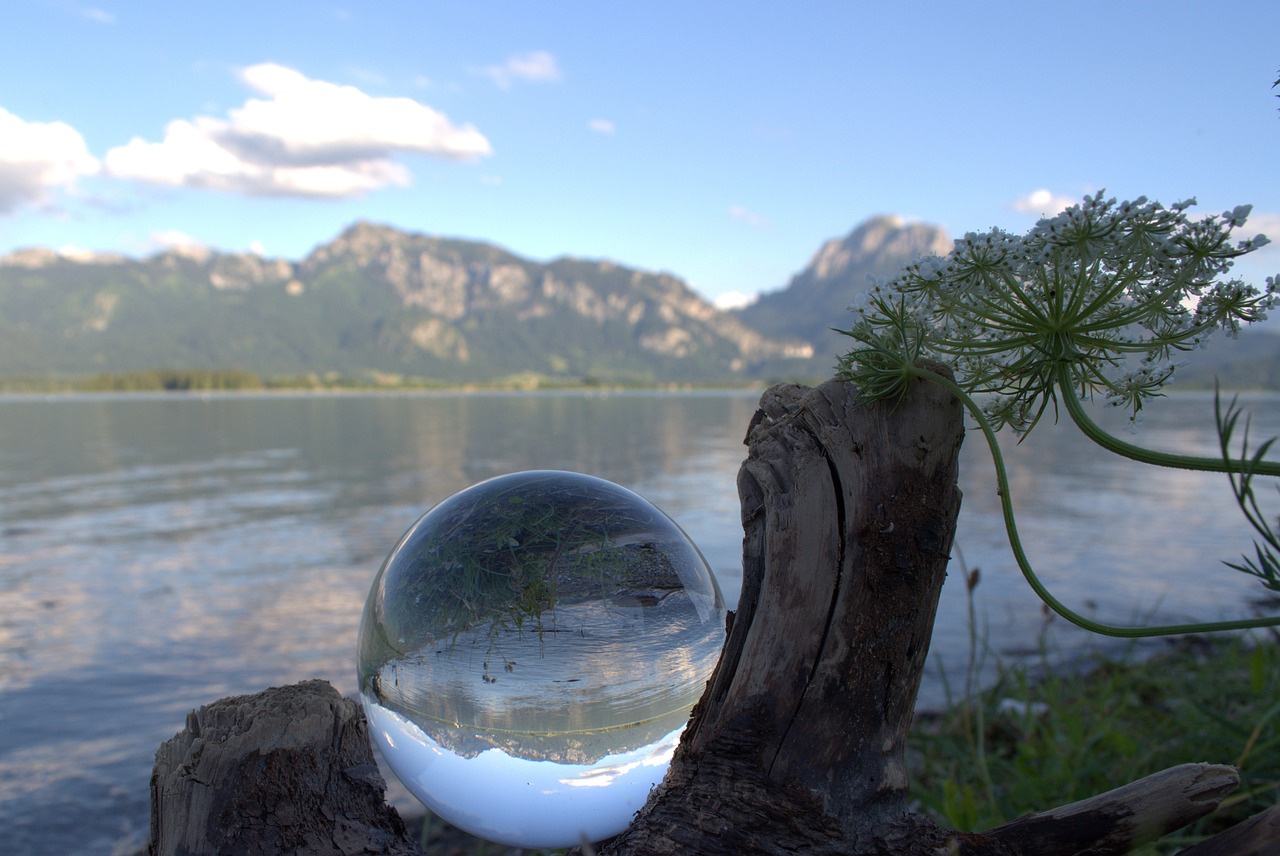 玻璃期貨行情分析與展望，最新市場(chǎng)動(dòng)態(tài)及未來趨勢(shì)預(yù)測(cè)