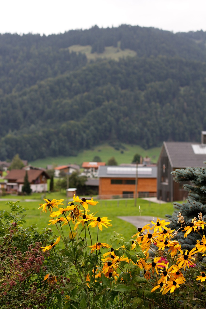 雄安新區(qū)蓬勃發(fā)展藍(lán)圖與未來展望，最新動(dòng)態(tài)揭秘