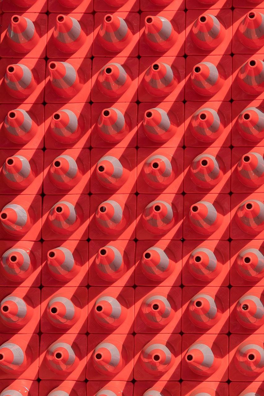 南拳動(dòng)態(tài)，傳統(tǒng)武術(shù)的現(xiàn)代展現(xiàn)與傳承之路