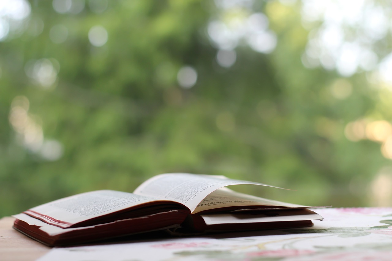 對與決電視劇，深度解讀人性抉擇的佳作