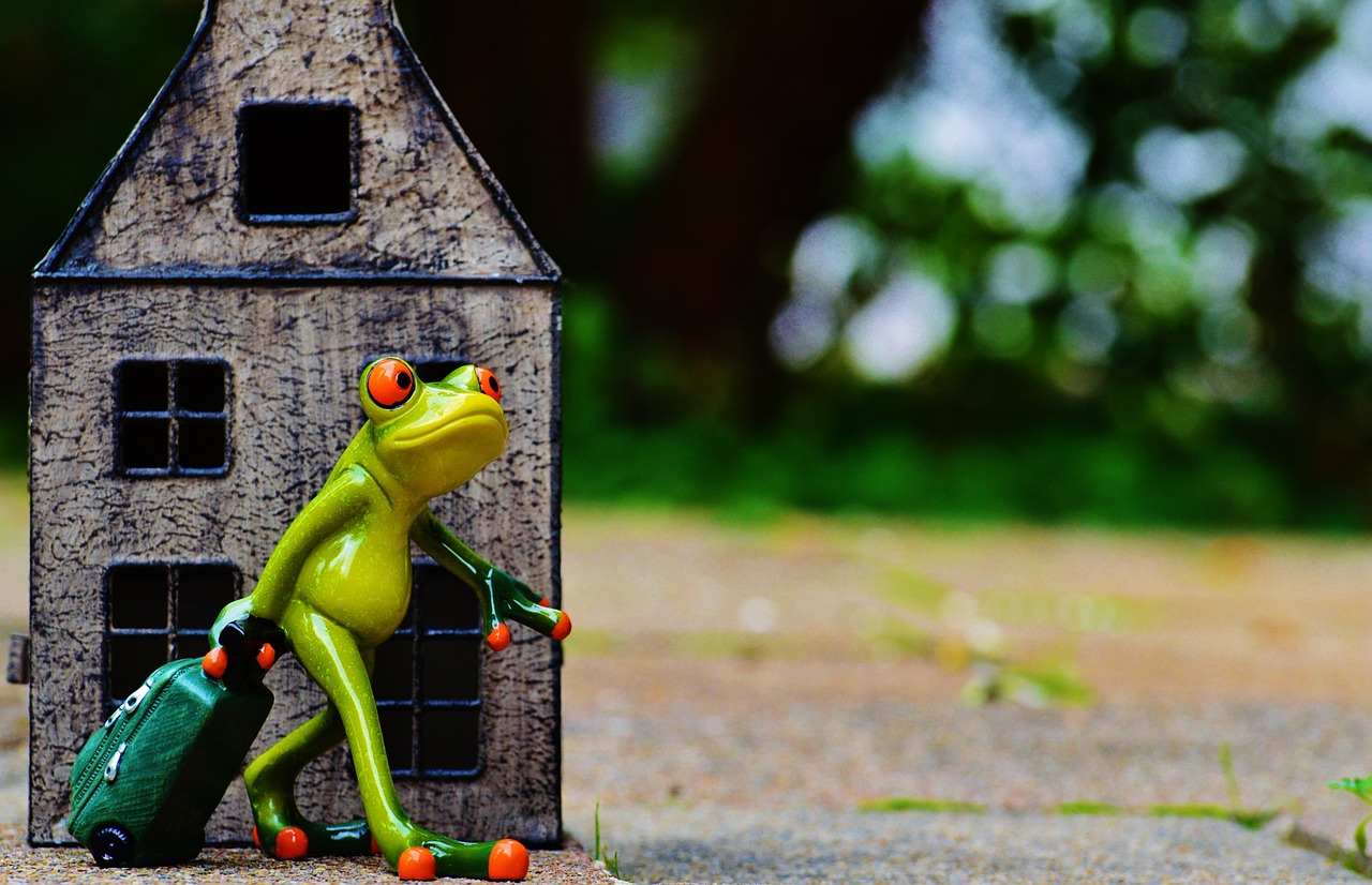 梨花雨涼 第18頁