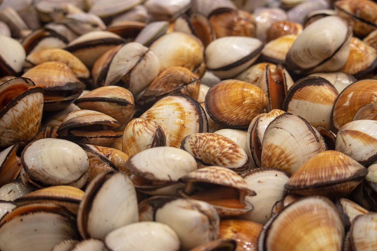 和田青玉煙嘴最新價格及收藏價值與市場動態(tài)分析