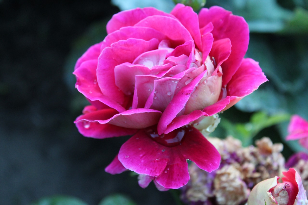 鷹潭最新資訊概覽，最新動態(tài)一網(wǎng)打盡