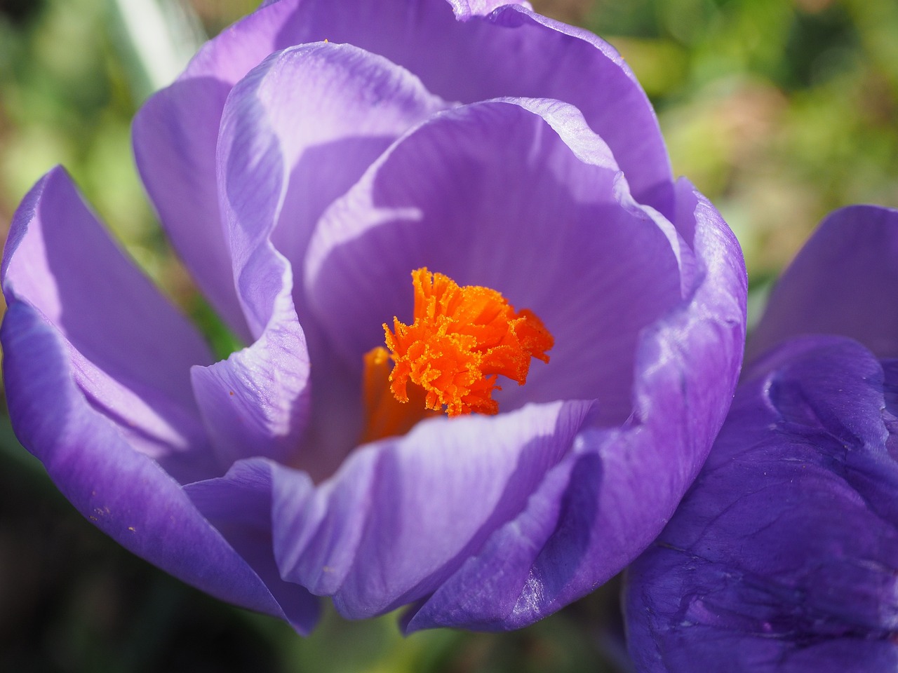 辛集最新發(fā)展動(dòng)態(tài)及未來展望