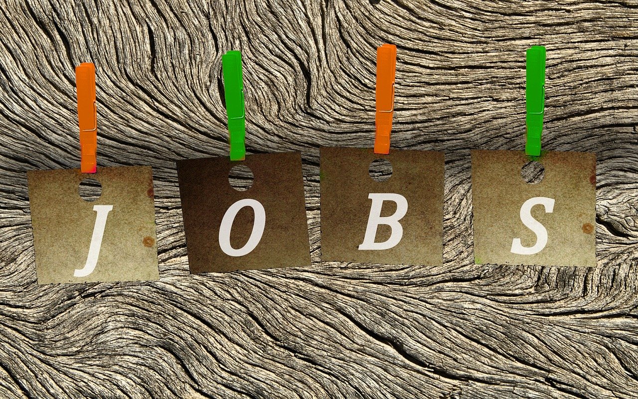 河南招聘最新動態(tài)，行業(yè)趨勢、人才需求洞察與最新職位發(fā)布