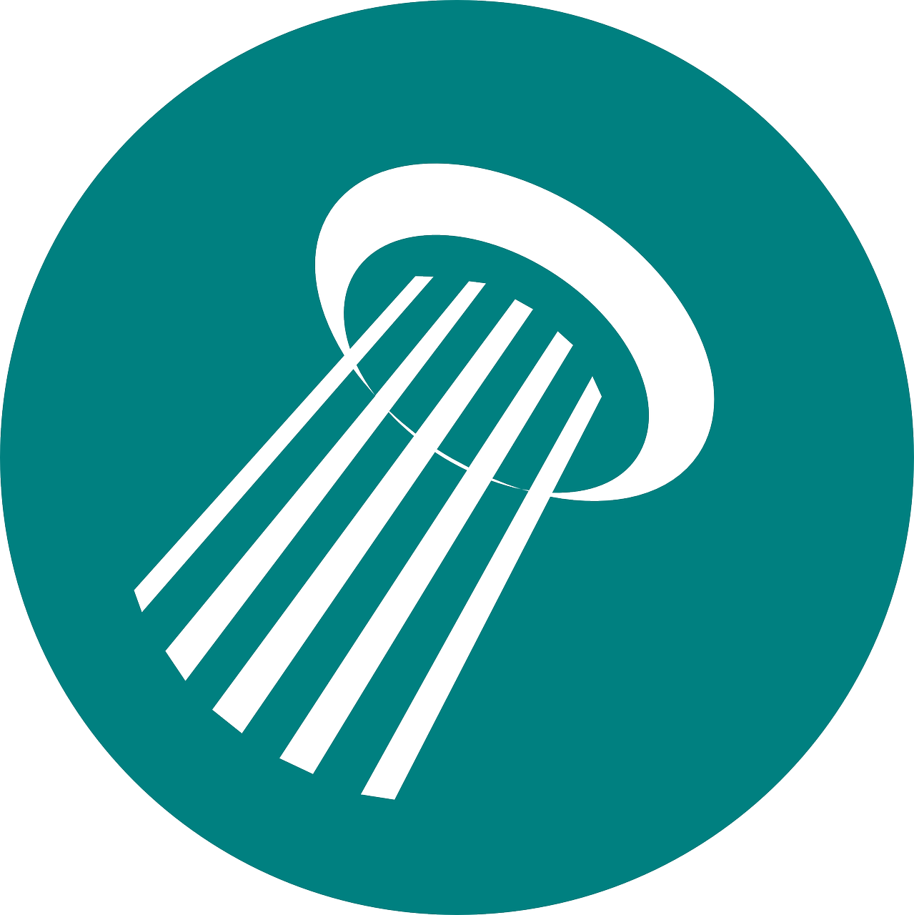 阜陽最新駕駛員職位招聘，探索職業(yè)發(fā)展新機遇