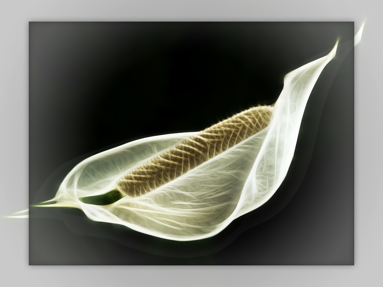 霧都孤兒 第18頁