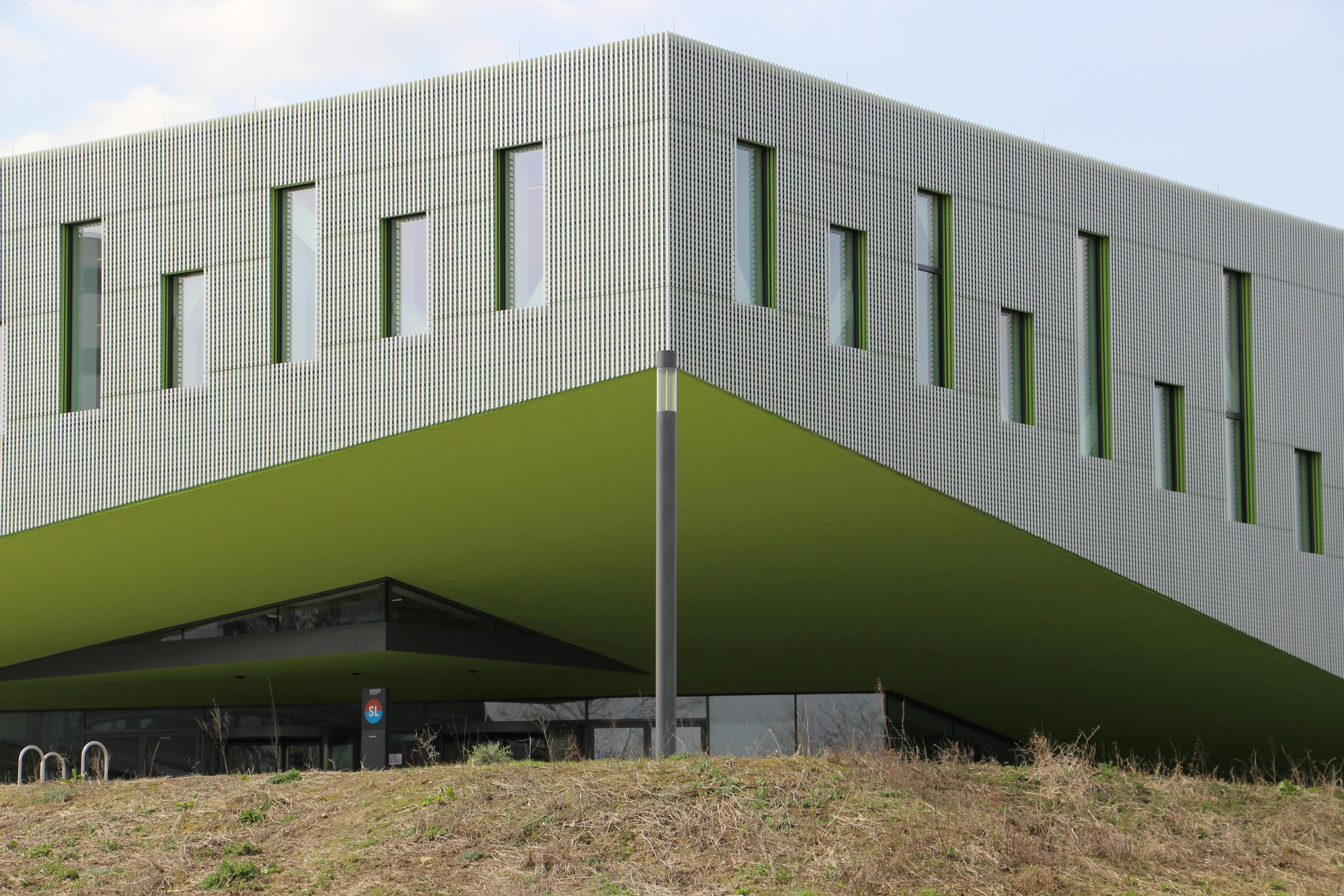 惡犬新動態(tài)，城市安全的新挑戰(zhàn)及應(yīng)對策略