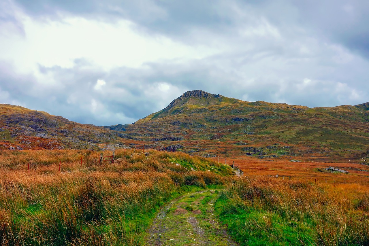 繁榮與發(fā)展中的豐寧，豐寧吧最新資訊匯總