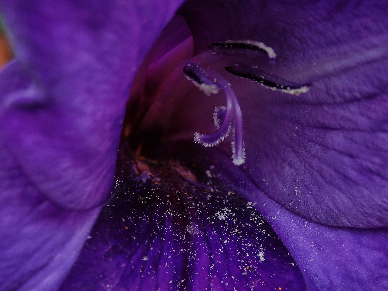 濮陽濱湖灣最新動態(tài)，城市新熱點蓬勃發(fā)展，最新資訊一網(wǎng)打盡