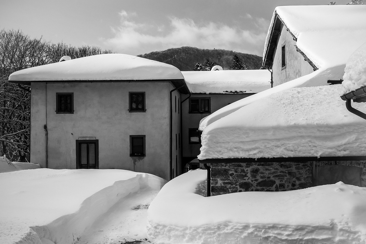 泰國政局動態(tài)，變革與挑戰(zhàn)的交織之路