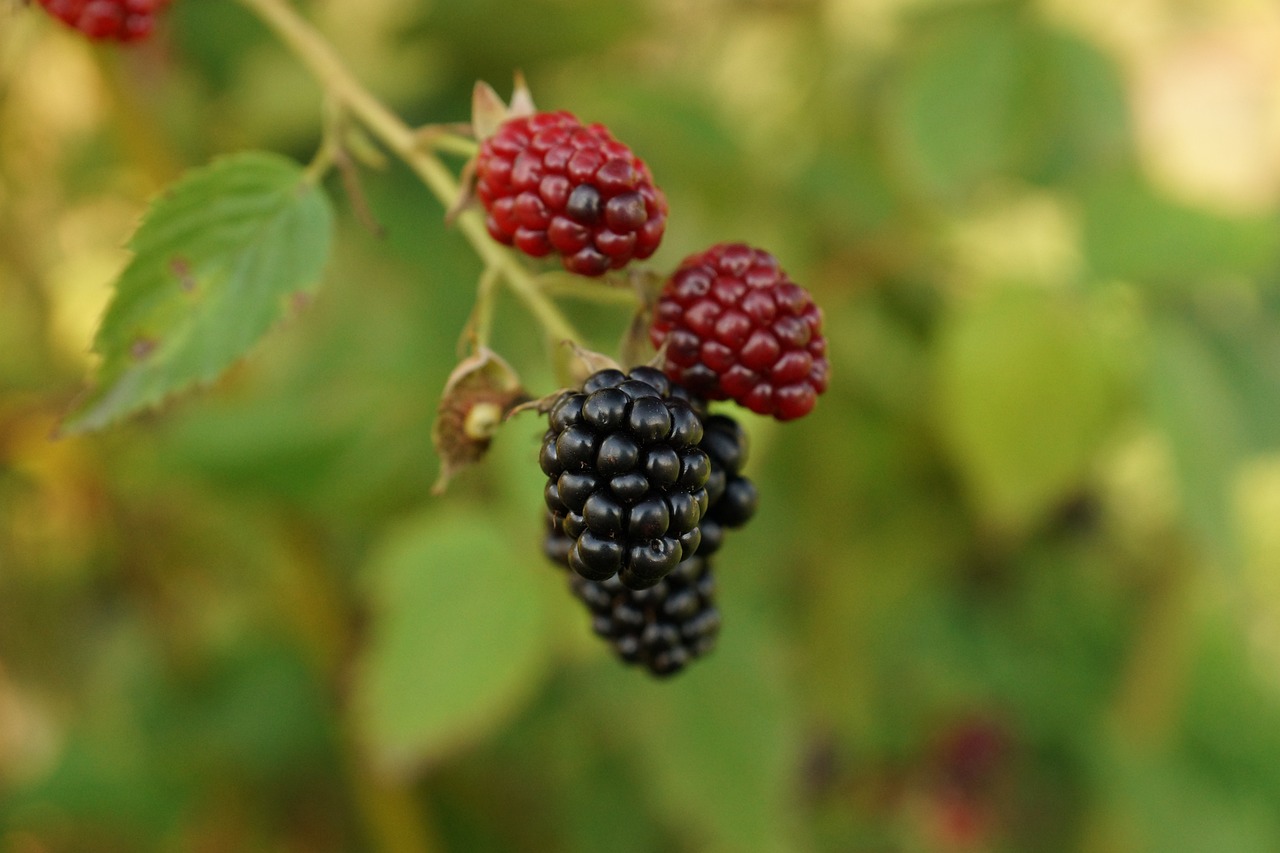 吉林市委書記趙靜波推動(dòng)高質(zhì)量發(fā)展，深化改革開放新征程的最新動(dòng)態(tài)