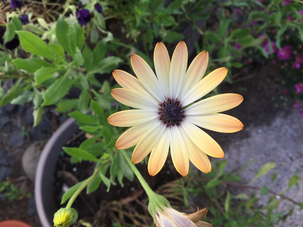 最新汽車資訊概覽，掌握最新汽車動(dòng)態(tài)與趨勢(shì)分析