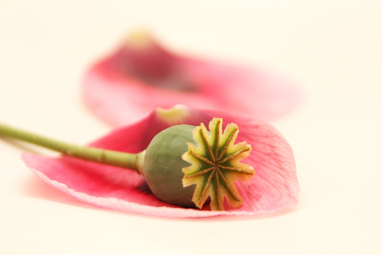 冰藍(lán)夢(mèng)境 第15頁(yè)