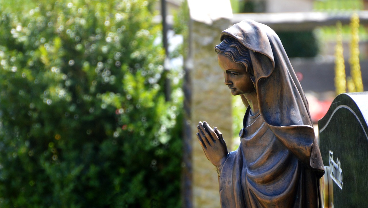 電視劇山野，自然與人生的和諧交響樂(lè)章