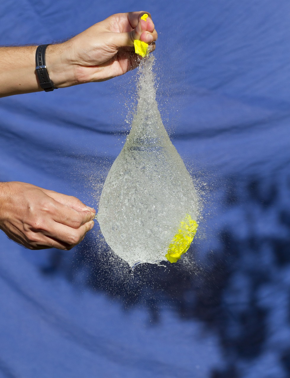 鄰水信息港最新招聘動態(tài)及其影響概覽