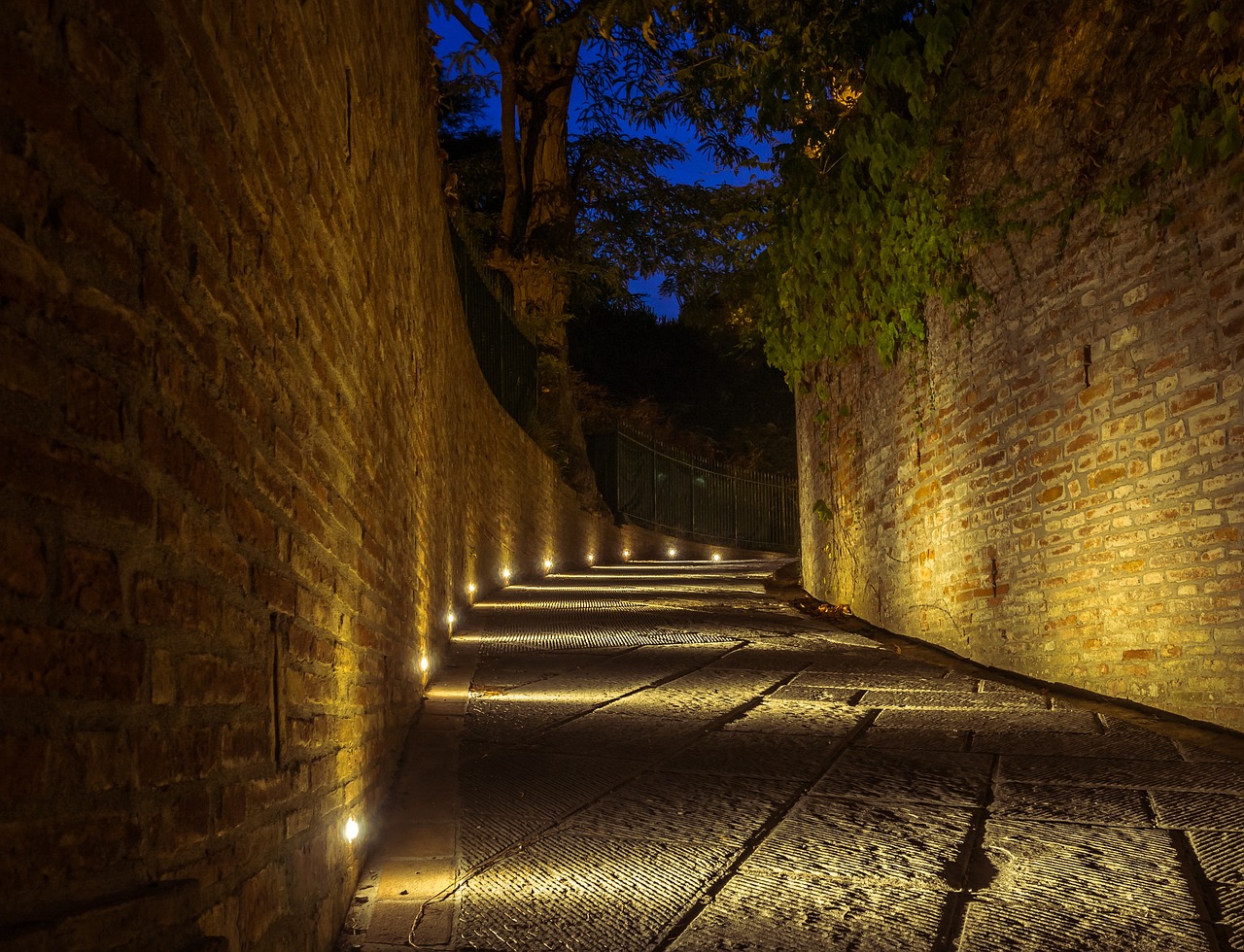 湖南邵陽(yáng)明星，文化之路的璀璨光芒