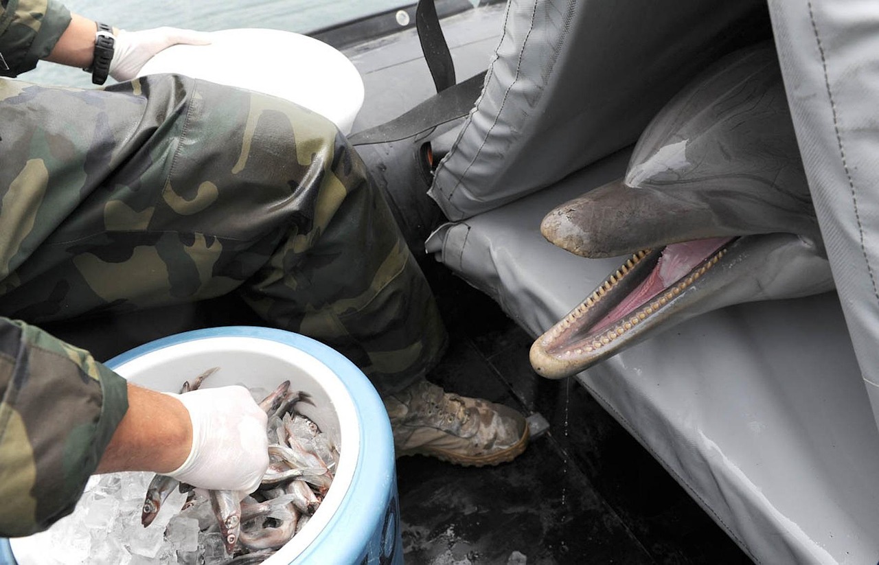 月餅熱潮來襲，市場熱鬧期待與新品上市動態(tài)