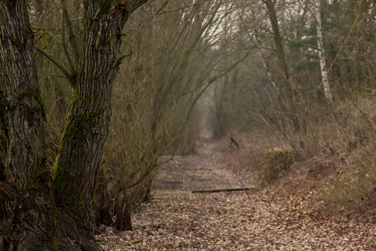 掌握最新租房資訊，洞悉市場趨勢動態(tài)