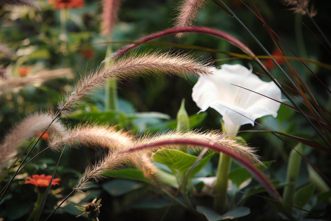 雪鬢 第16頁(yè)