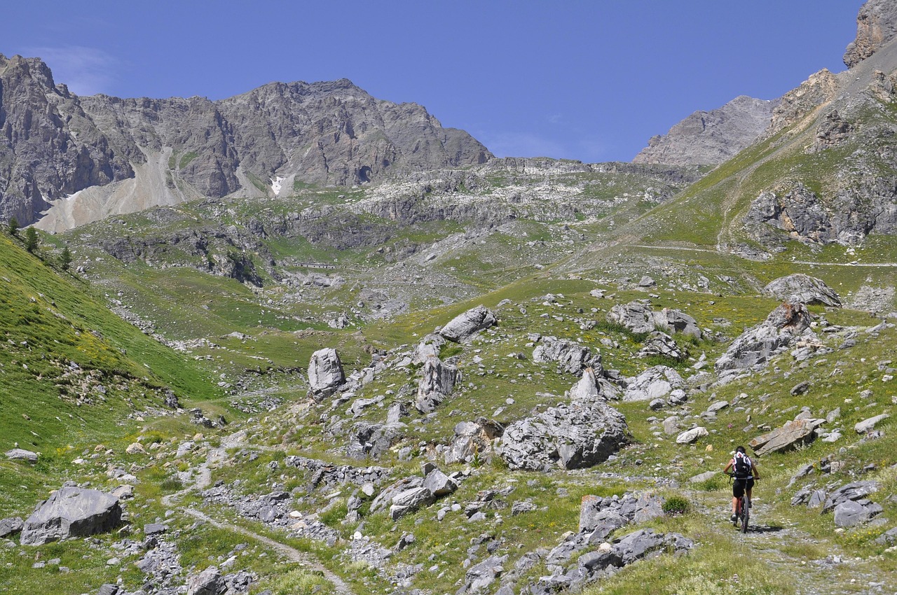 河北保定順平最新資訊概覽，順平地區(qū)動態(tài)更新速覽