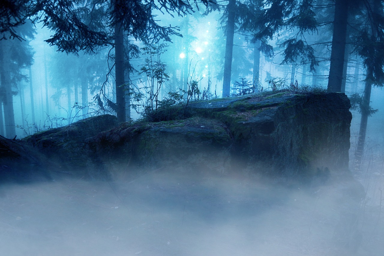 夏木番外篇，時光秘密探尋記