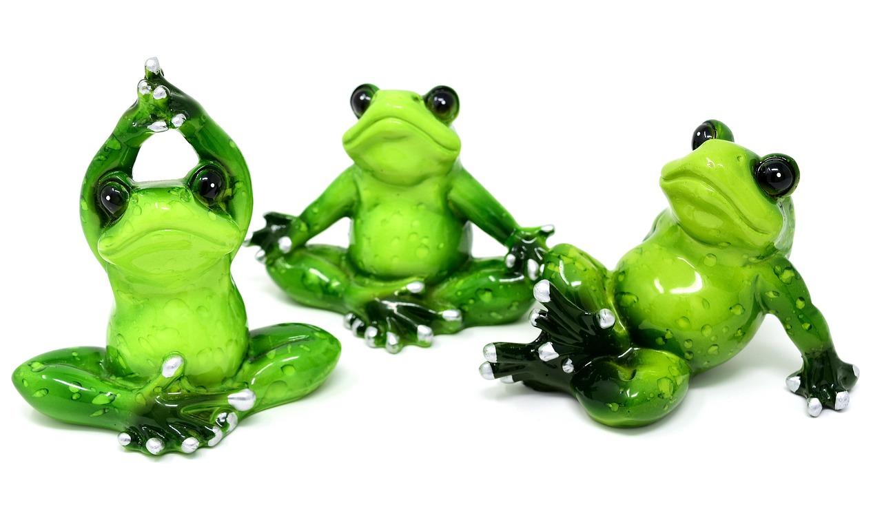 兩棲蛙蛙最新版下載，探索與體驗(yàn)最新版本的魅力