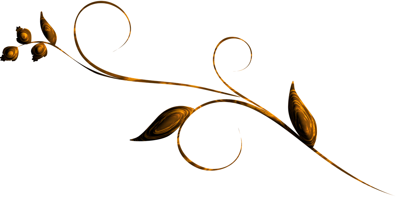 藍(lán)雨希 第15頁(yè)