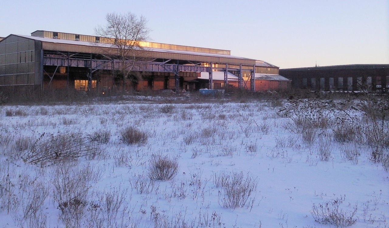 最新植物組織培養(yǎng)招聘信息與探討，行業(yè)人才招聘動態(tài)速遞