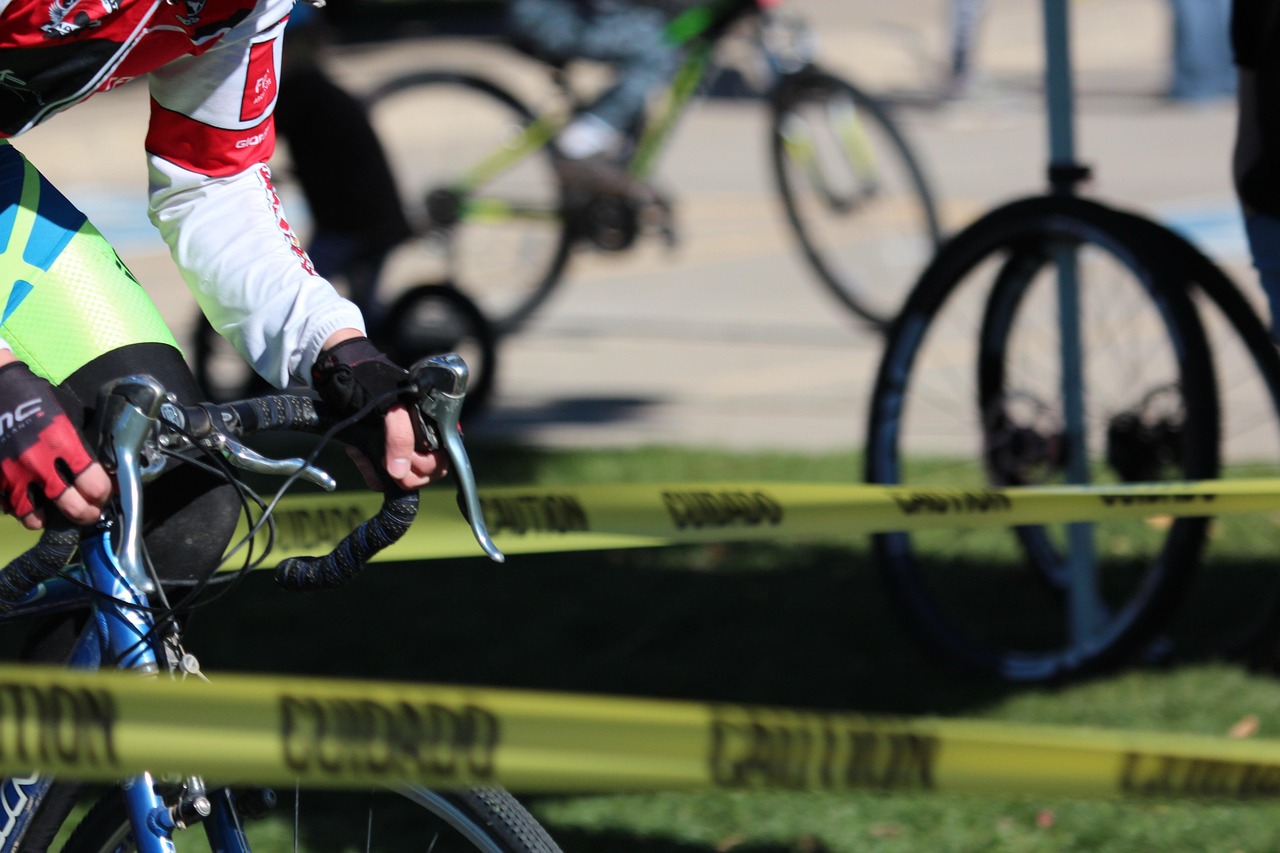 若櫻落如煙 第14頁(yè)