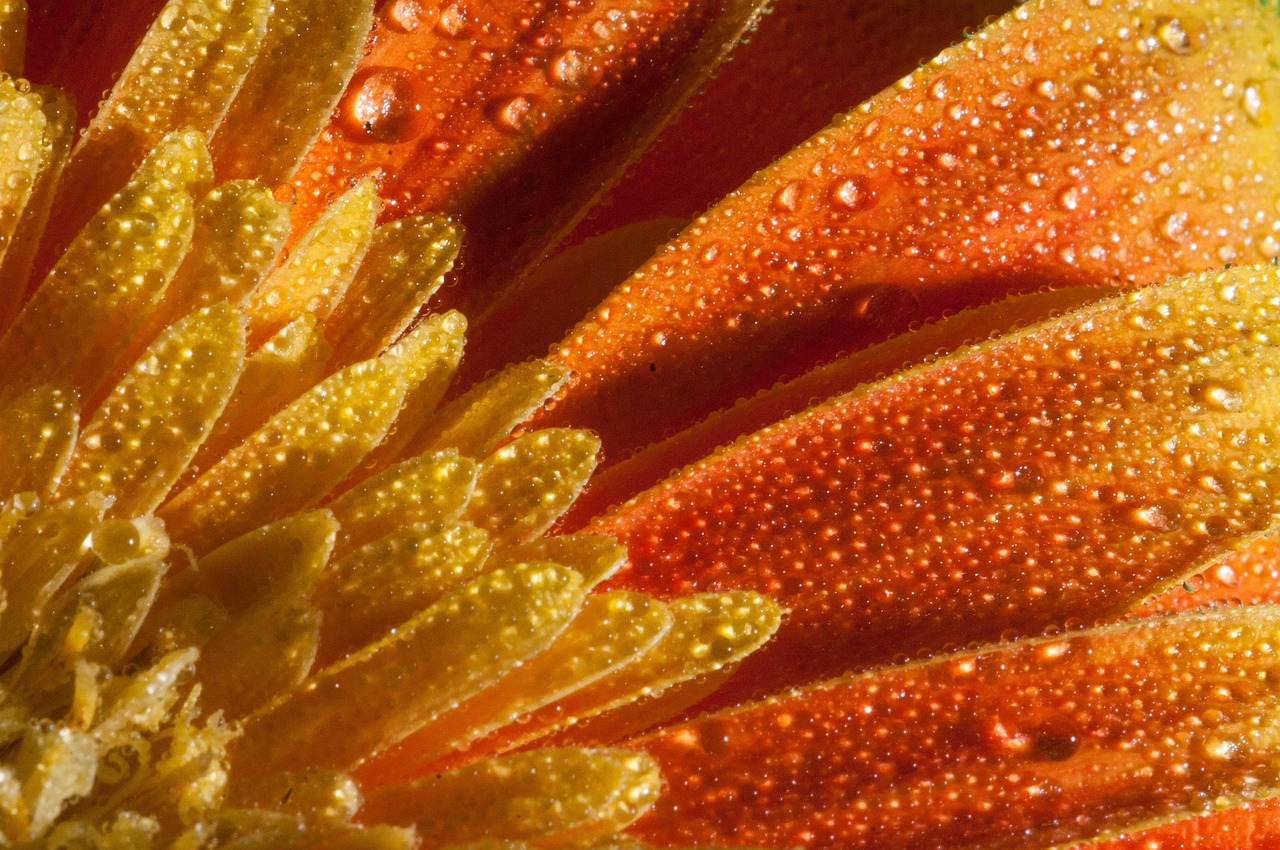 城開(kāi)高速進(jìn)展順利，展望未來(lái)美好動(dòng)態(tài)更新