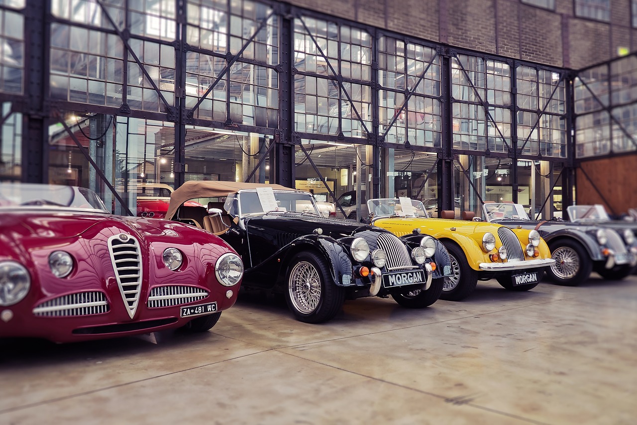 猛獅動態(tài)，展現(xiàn)力量與活力的獨(dú)特魅力