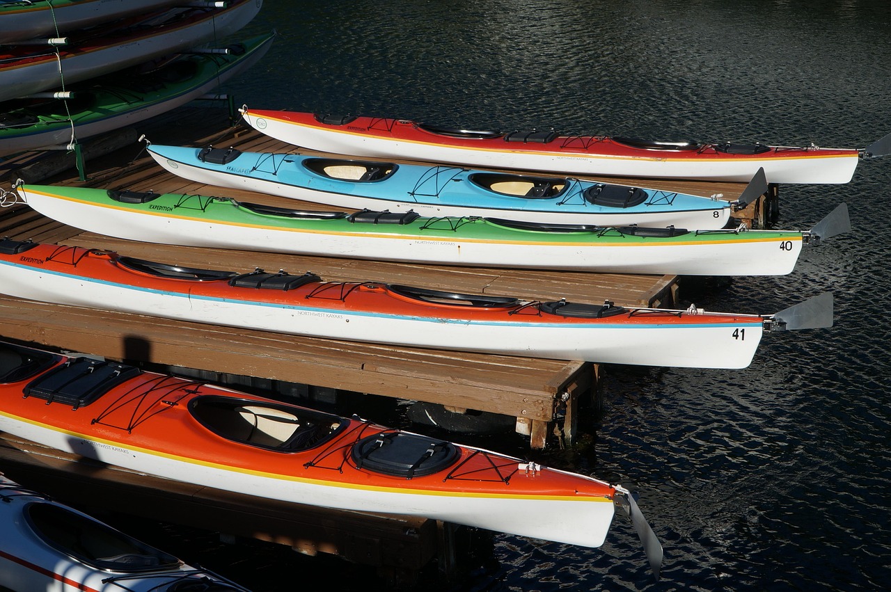 新聞資訊 第513頁