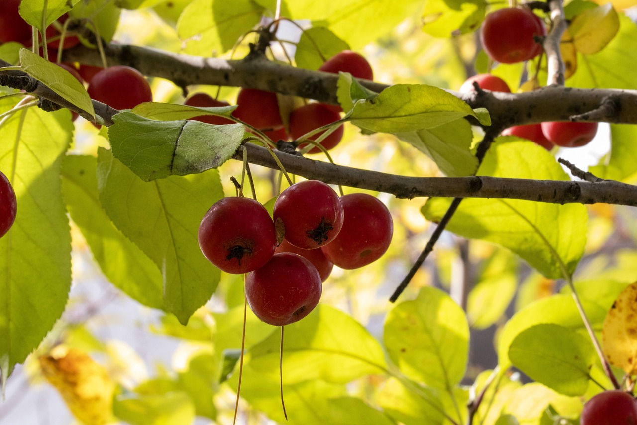 高明最新動態(tài)，引領(lǐng)未來發(fā)展與變革的新篇章