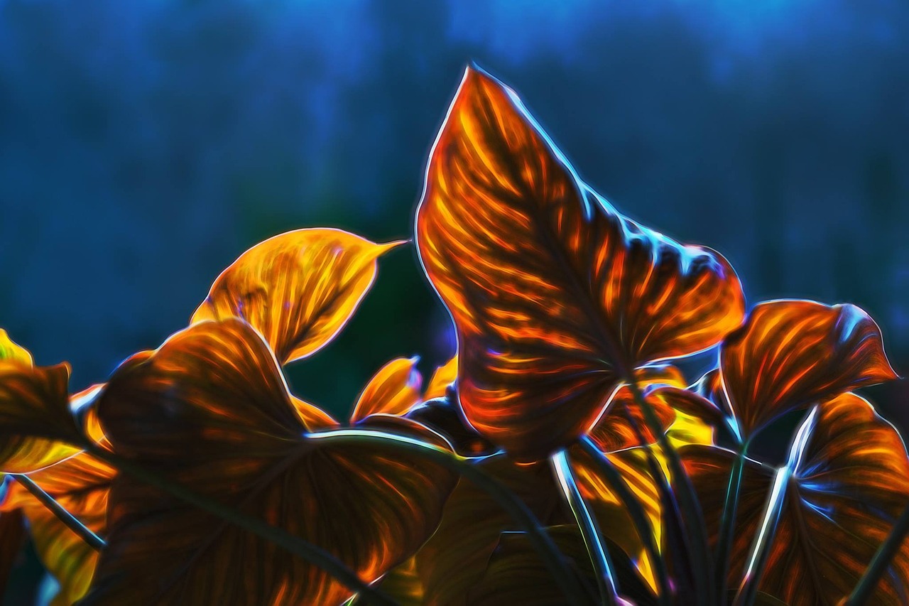 最新動(dòng)漫下載，數(shù)字世界的奇幻探索之旅