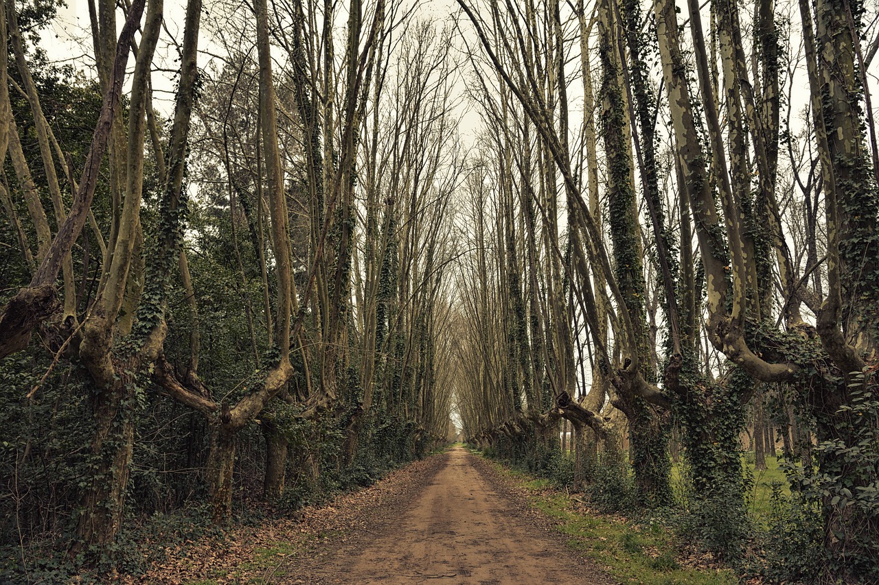高血壓研究新動(dòng)態(tài)，探索未來(lái)治療與預(yù)防的新路徑進(jìn)展