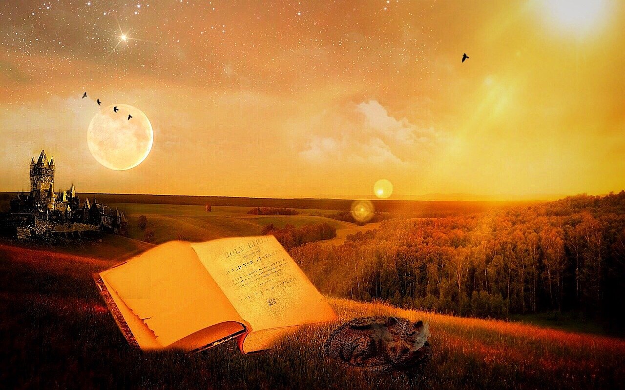 六道仙尊最新篇章揭秘，探尋神秘的仙途之旅