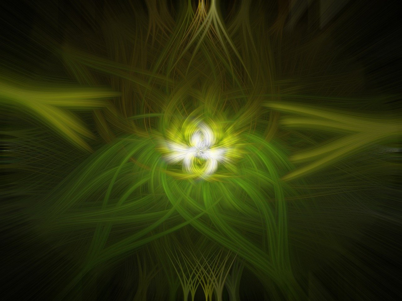 眾泰汽車最新動態(tài)，轉(zhuǎn)型與創(chuàng)新驅(qū)動未來發(fā)展