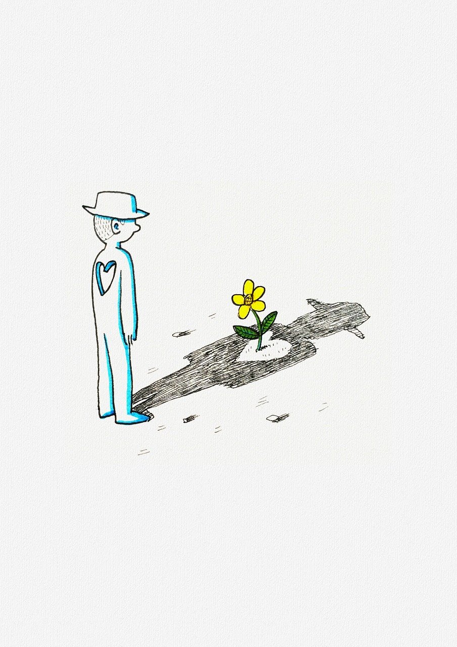 陸易白蘇輕語，情感交織與命運(yùn)轉(zhuǎn)折的奇幻之旅最新更新