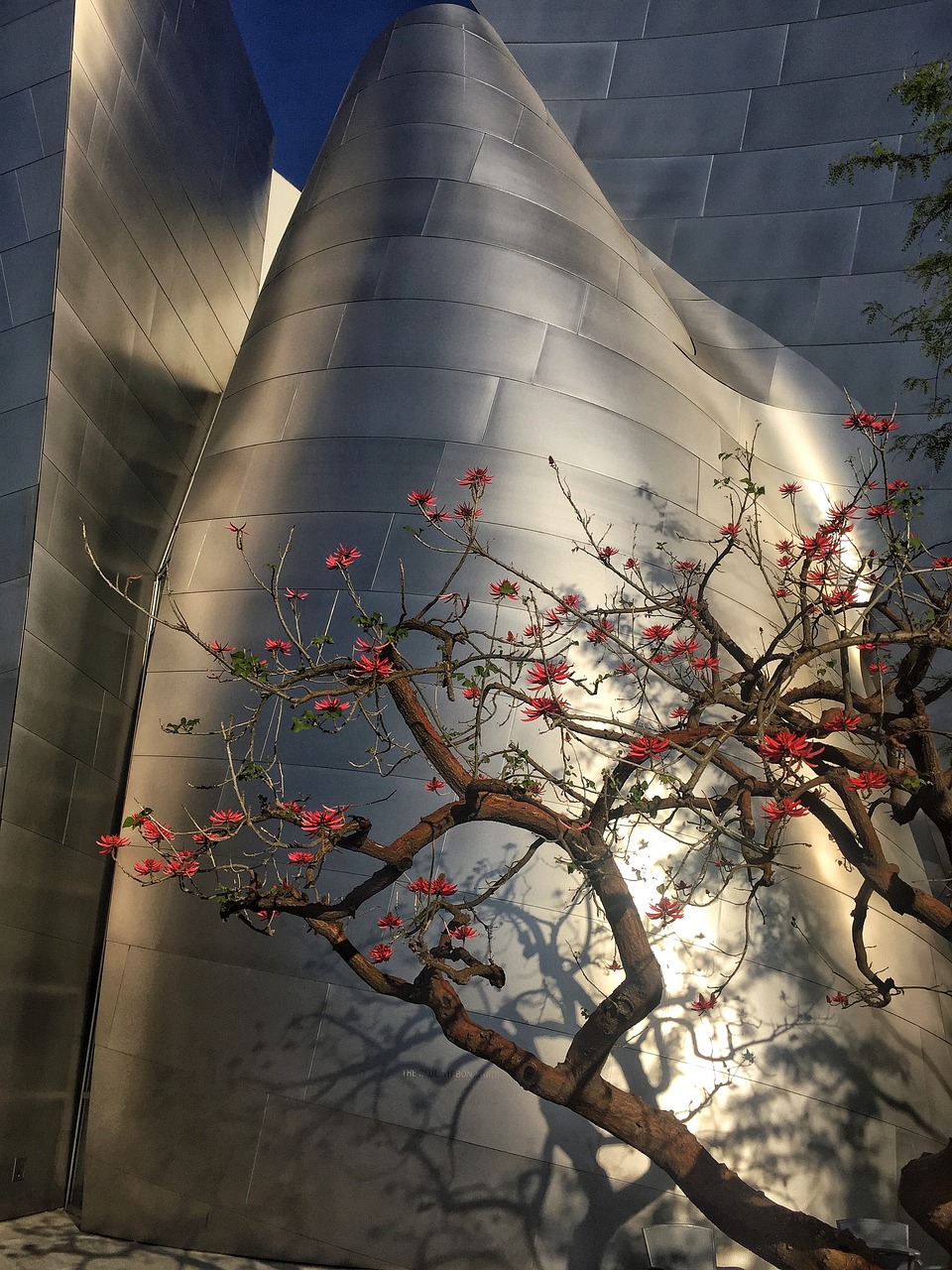 遷西動態(tài)更新，把握城市發(fā)展的脈搏，展望美好未來