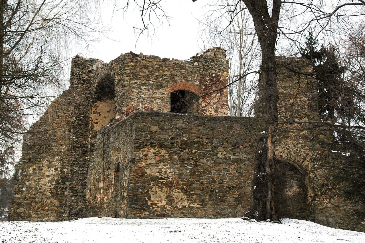 寧波最新通告，引領(lǐng)城市發(fā)展的最新動態(tài)與重大舉措