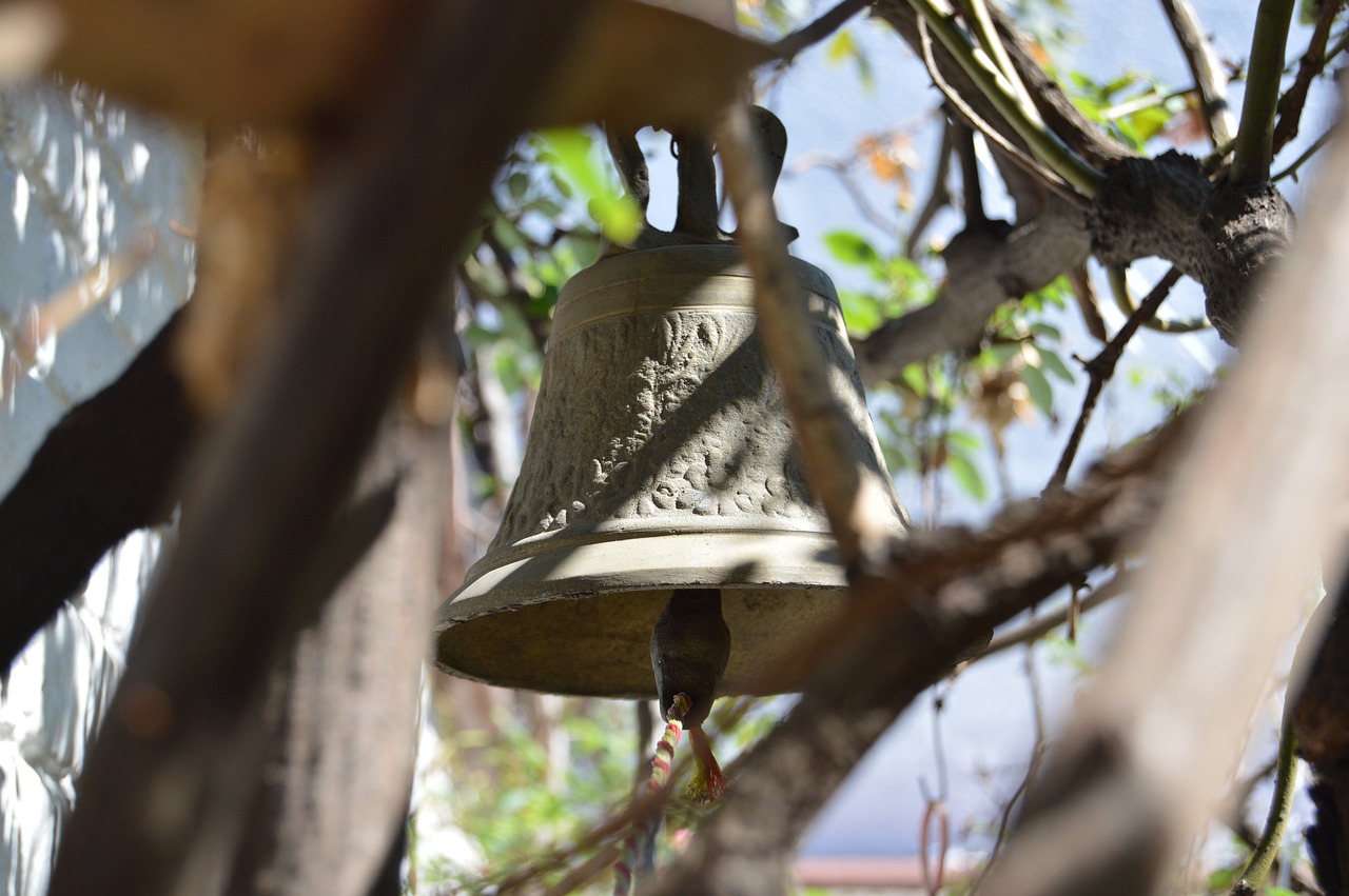 長(zhǎng)實(shí)股票的投資潛力與市場(chǎng)動(dòng)態(tài)解析