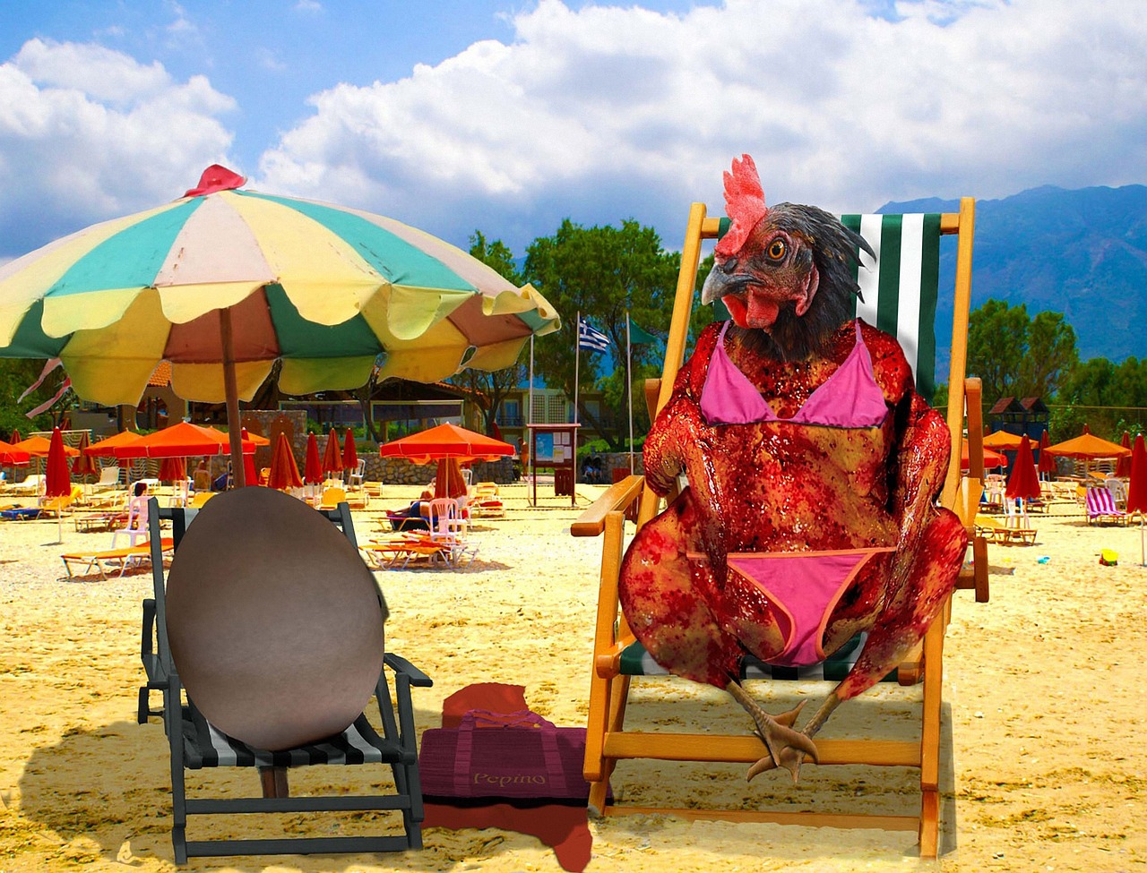 少林電影，功夫、歷史與文化的完美融合